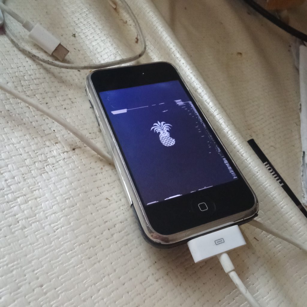 iPhone (Original) - Beta Version von iOS mit Ananas Symbol