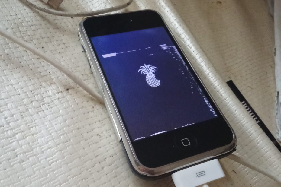 iPhone (Original) - Beta Version von iOS mit Ananas Symbol